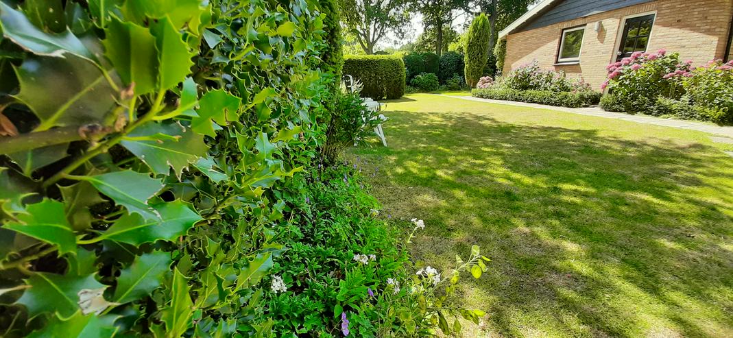 Bild 13: ZEELAND,    SEHR STRANDNAH;    4P DÜNENHAUS MIETEN?