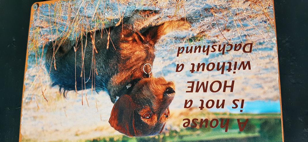 Bild 17: ZEELAND,    SEHR STRANDNAH;    4P DÜNENHAUS MIETEN?