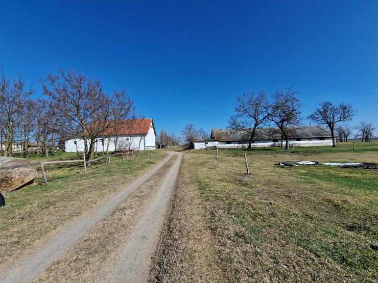 Bauernhaus Bauernhof Landhaus Haus Immobilien zum Kauf in Ungarn