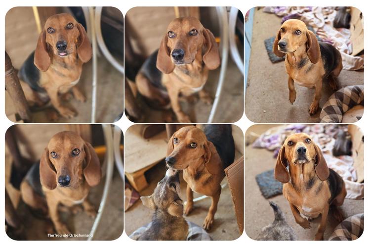 Mina möchte doch nur eine Familie haben