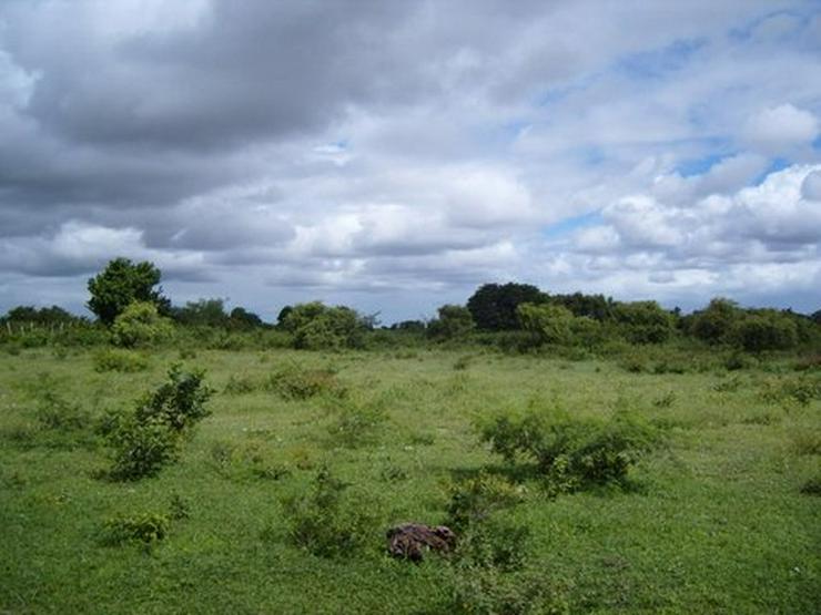 Bild 2:  Natur-Grundstück m Bereich Santa Lucia / Brasilien