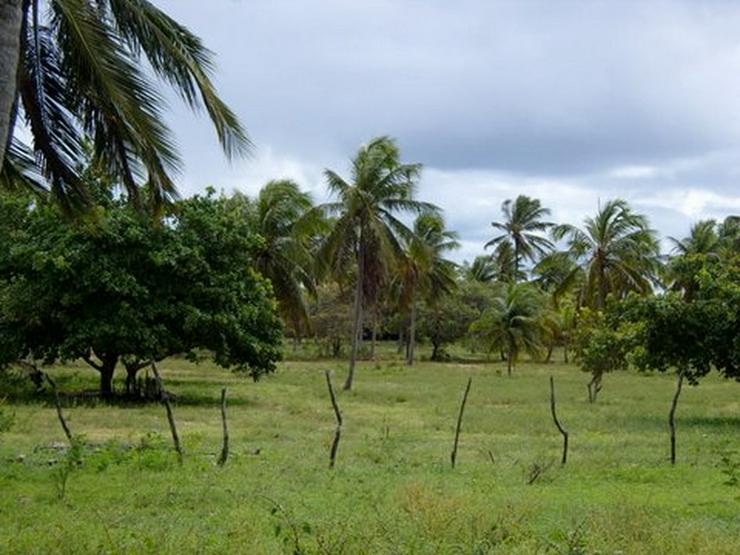  Natur-Grundstück m Bereich Santa Lucia / Brasilien - Grundstück kaufen - Bild 1