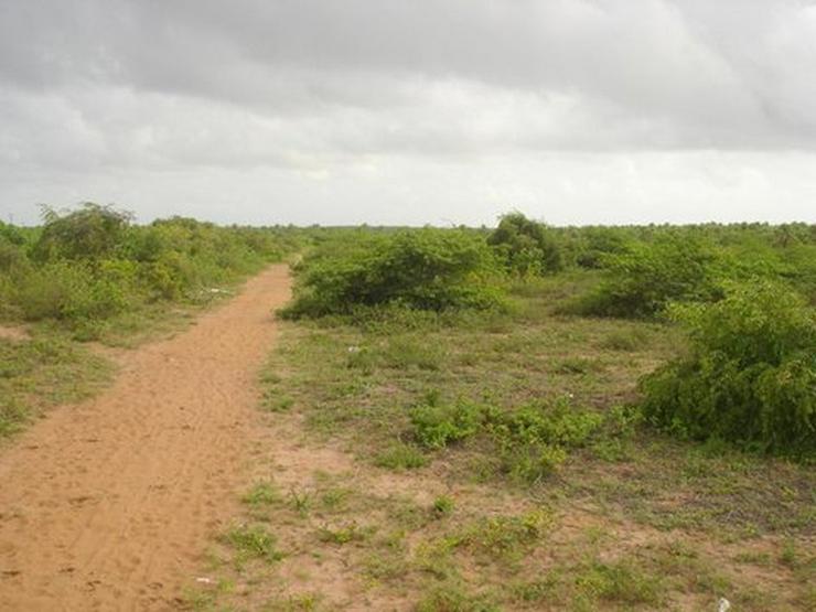 Bild 5:  Natur-Grundstück m Bereich Santa Lucia / Brasilien