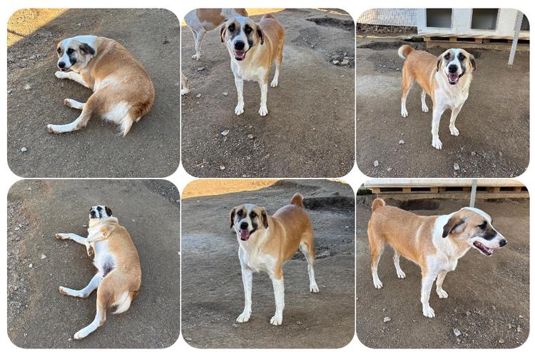 Lagatha eine besondere Schöheit