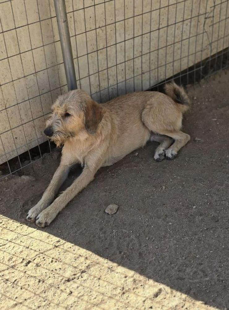 Tina liebt die Nähe von Menschen und die Sonne