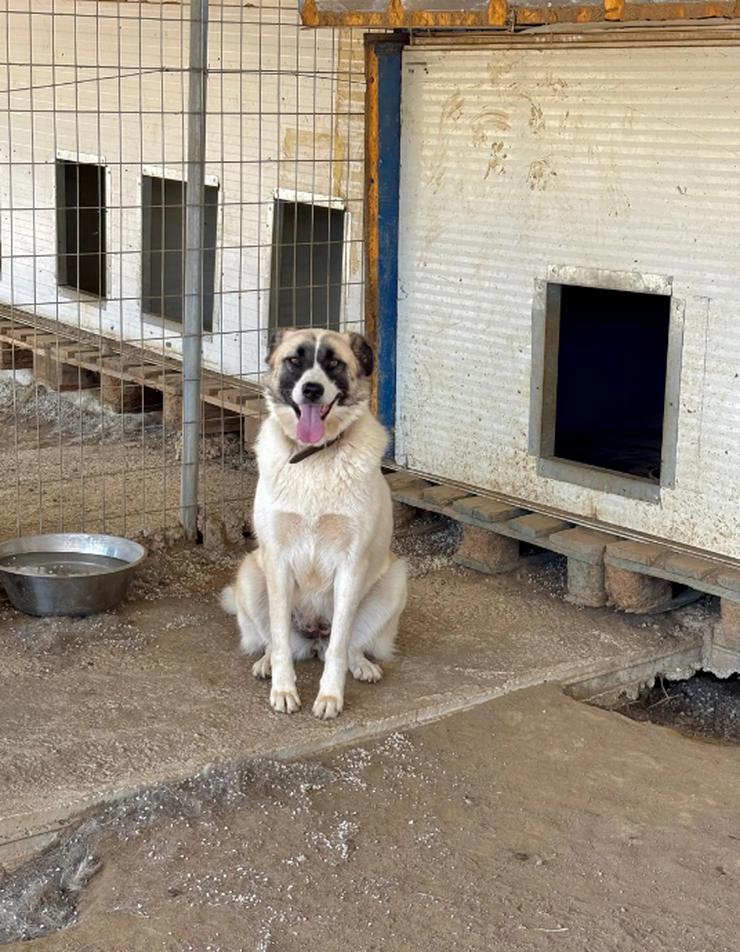 Bild 5: Smilla trägt das Lächeln in Namen