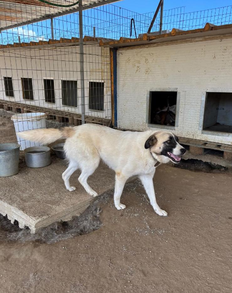 Bild 6: Smilla trägt das Lächeln in Namen