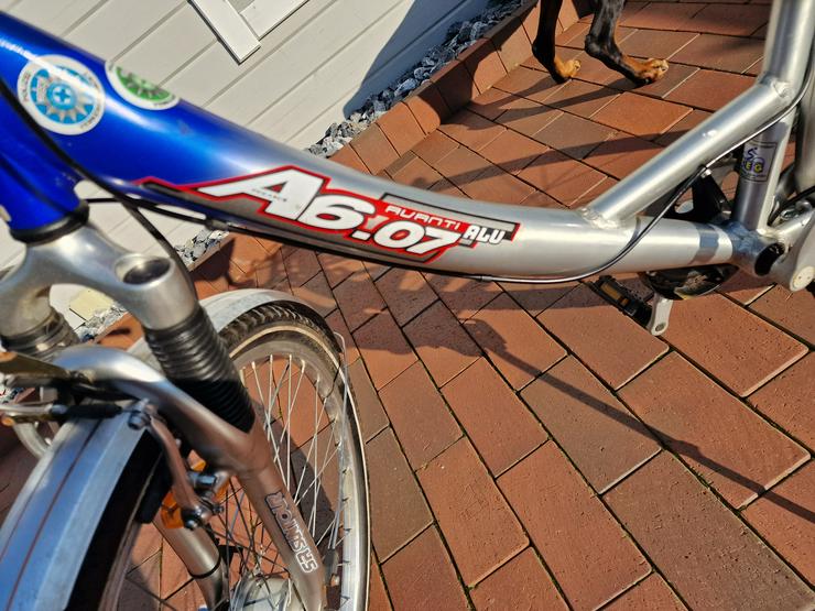 Bild 4: Pegasus AVANTI A6.07 Alu Fahrrad 26 Zoll