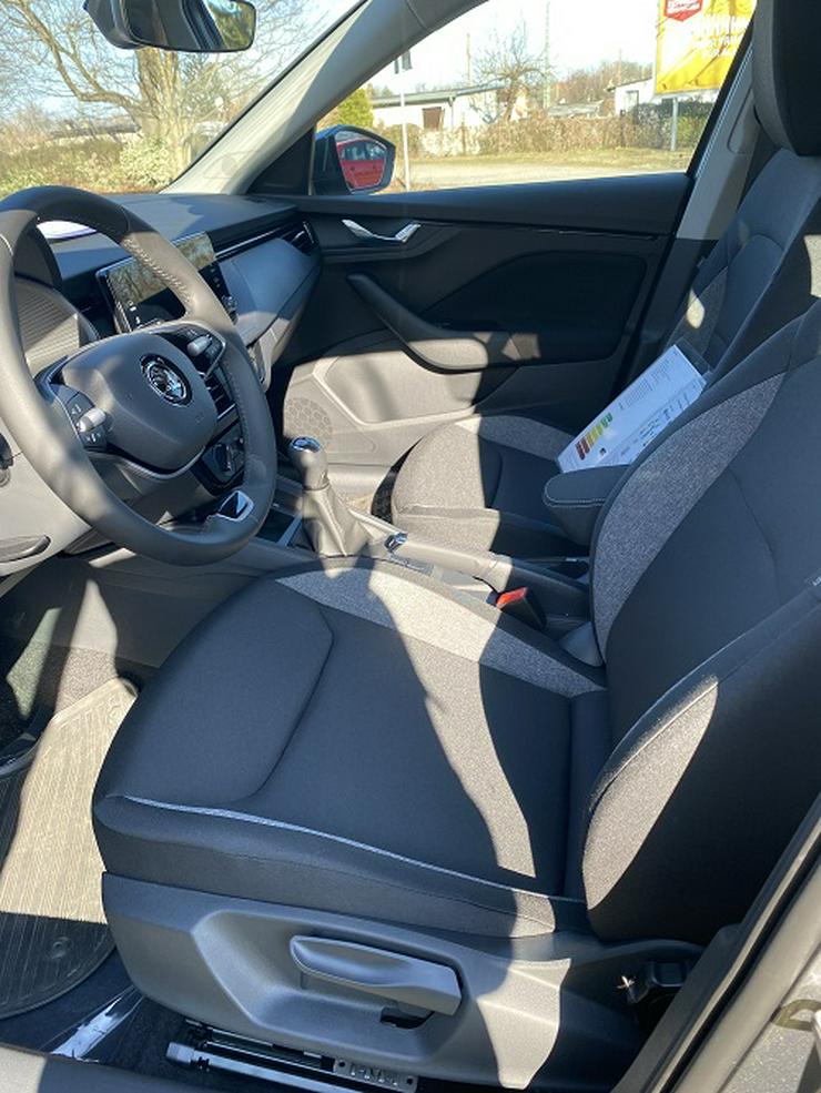 Bild 7: Kamiq 1,0 TSI Drive Vorführwagen