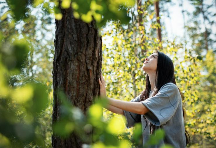 Fernstudium "Kursleiter/-in Waldbaden" mit Zertifikat für nur 149 Euro