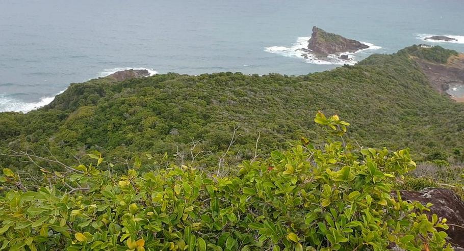 Bild 6: Haus als Kapital-Anlage oder zur Eigennutzung auf der Insel Martinique