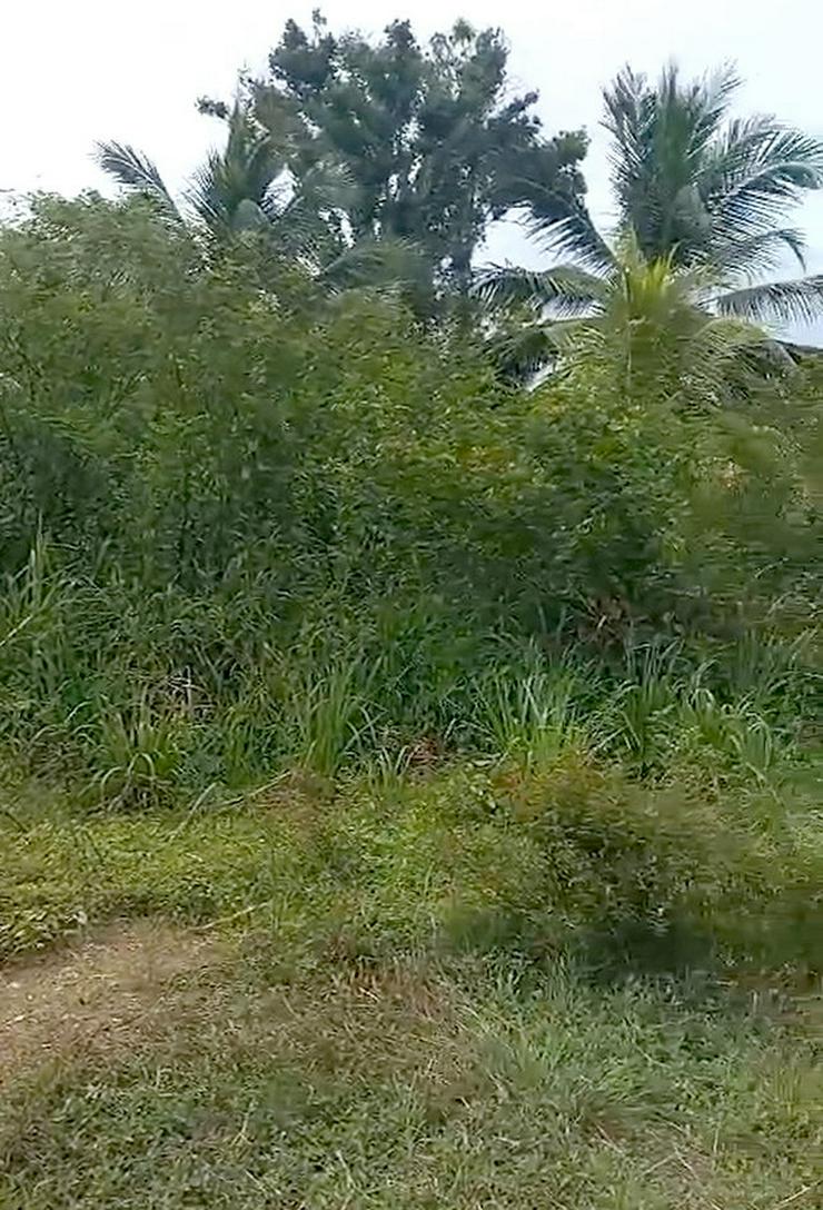 Bild 5: Haus als Kapital-Anlage oder zur Eigennutzung auf der Insel Martinique