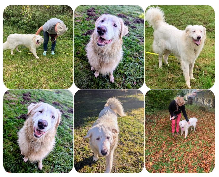 Bild 10: Arik möchte Herzen erobern – trotz Taubheit voller Lebensfreude