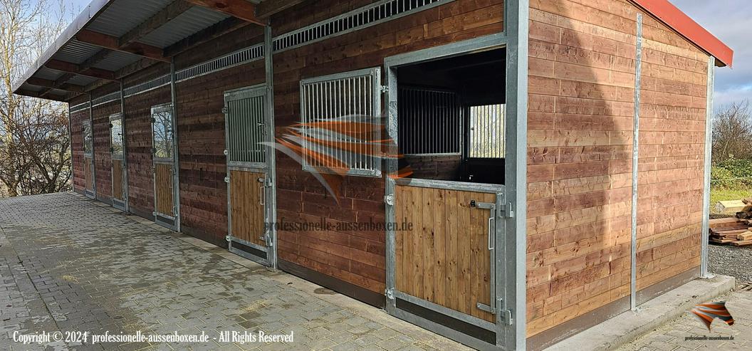 Bild 4: Pferdebox & Pferdestall bauen Top-Qualität Außenstall und Stallungen, Offenstall & Weidehütten