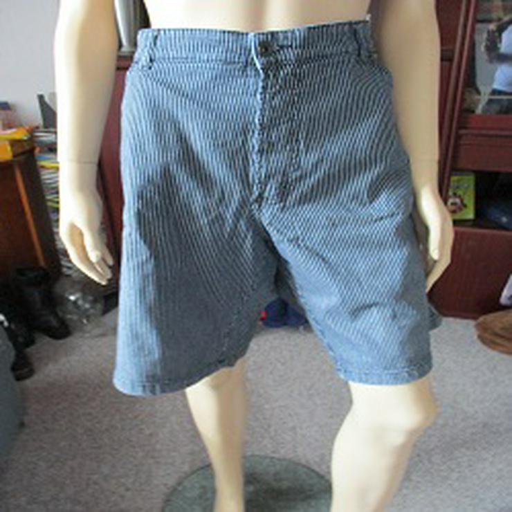 Bild 4: Herrn Bermudas