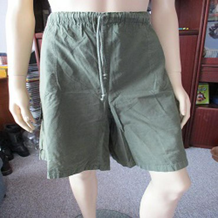 Herrn Bermudas