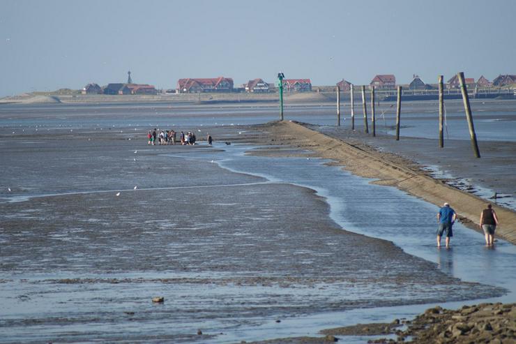Bild 12: Ferienhaus  an der Nordsee, eingezäunter Garten,Urlaub mit Hund