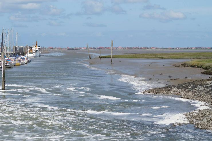 Bild 3: Ferienhaus  an der Nordsee, eingezäunter Garten,Urlaub mit Hund