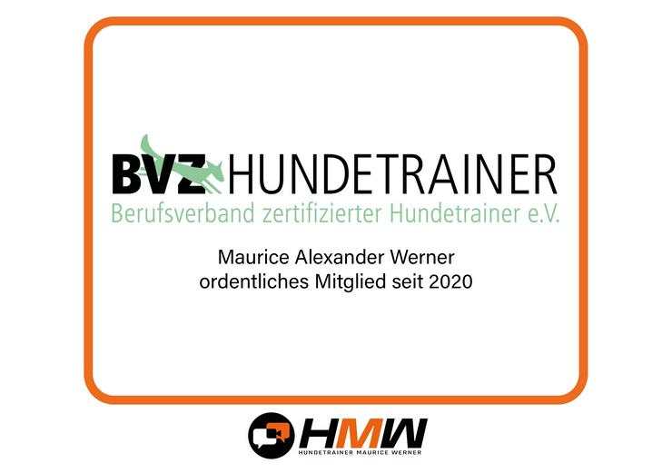 Bild 13: Innovatives Hundetraining durch Videoanalyse