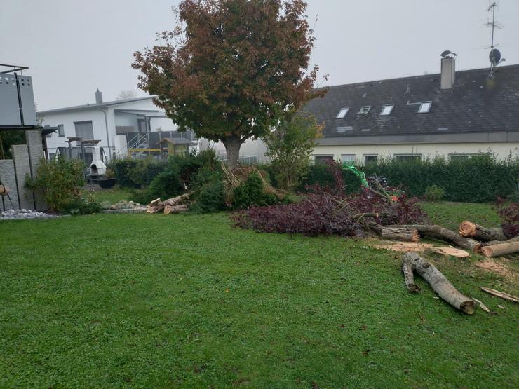 Bild 4: Heckenschnitt, Grüngut, Häckseln, Fällung, Rasenmähen, Wurzelstockfräsen