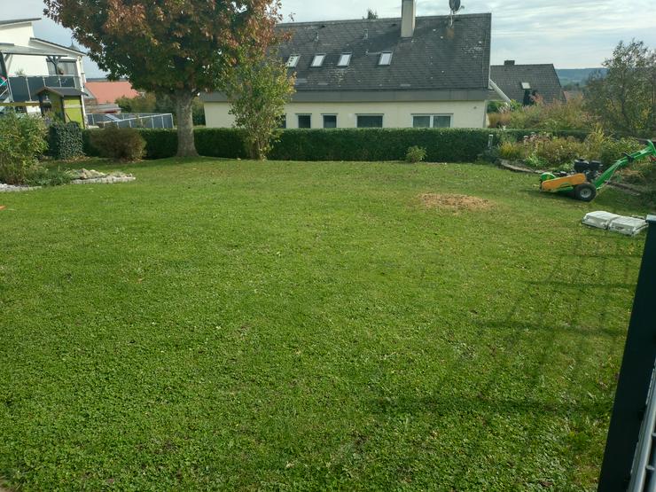 Bild 5: Heckenschnitt, Grüngut, Häckseln, Fällung, Rasenmähen, Wurzelstockfräsen