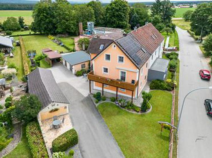 Bild 11: Allergiker Ferienwohnung
