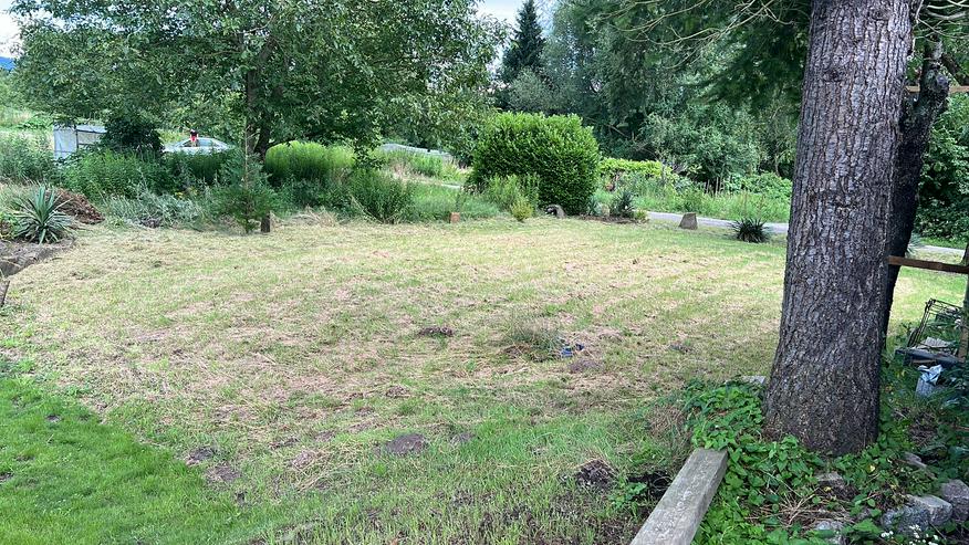 Bild 2: Sonniger, ruhiger Bauplatz für EFH, DH in Muggensturm