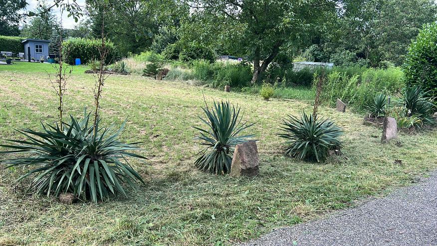 Sonniger, ruhiger Bauplatz für EFH, DH in Muggensturm