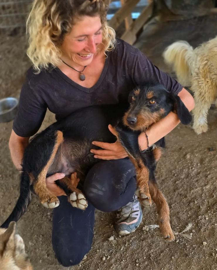 Anne die liebreizende - Mischlingshunde - Bild 1