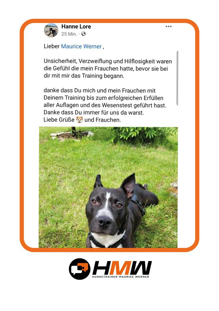 Bild 6: Innovatives Hundetraining durch Videoanalyse