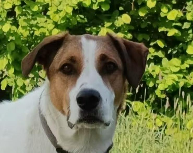 Sensibler Catullo sucht seine zweite Chance