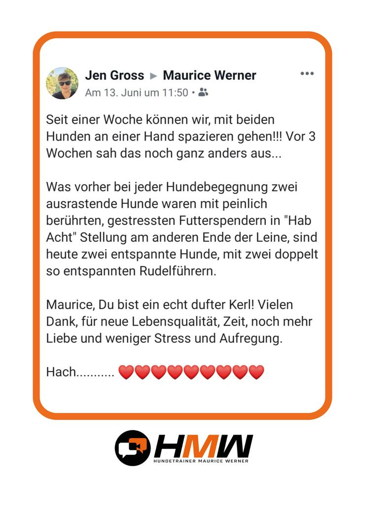 Bild 2: Innovatives Hundetraining durch Videoanalyse