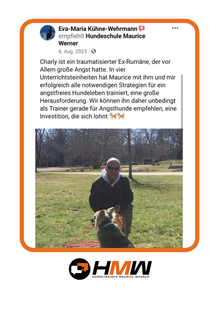 Bild 3: Innovatives Hundetraining durch Videoanalyse