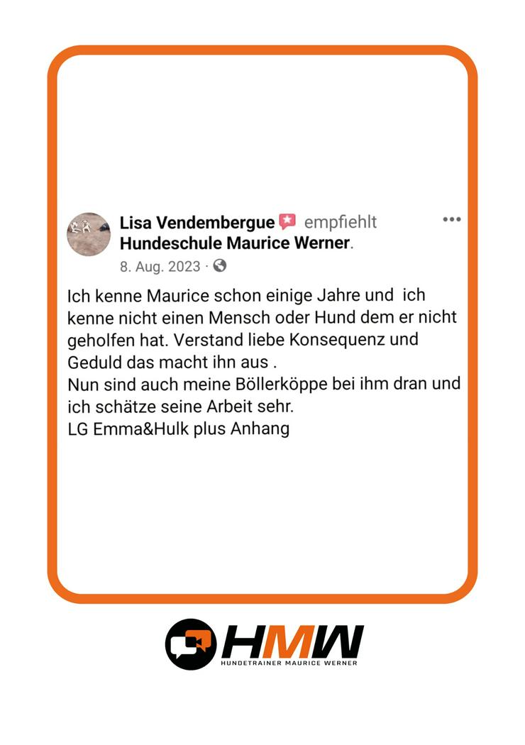 Bild 6: Innovatives Hundetraining durch Videoanalyse