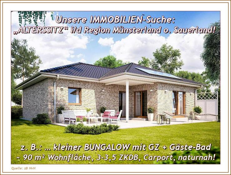 Bild 5: GESUCH: ein/e/n MAISONETTE-Wohnung o. kl. HAUS o. kl. BUNGALOW, 3 ZKDB im MÜNSTERLAND oder SAUERLAND - ab 10/25.