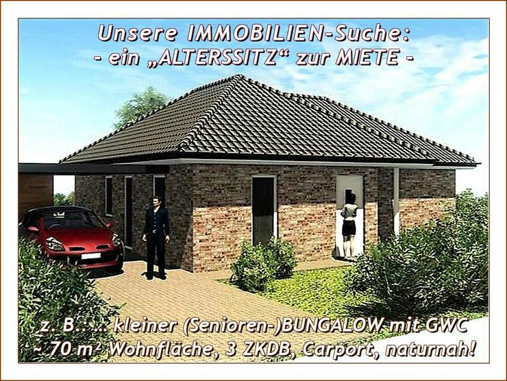 Bild 4: Miet-GESUCH: ein/e/n MAISONETTE, kl. HAUS oder kl. BUNGALOW, 2,5 - 3 ZKDB im MÜNSTERLAND oder SAUERLAND - ab 03/26.