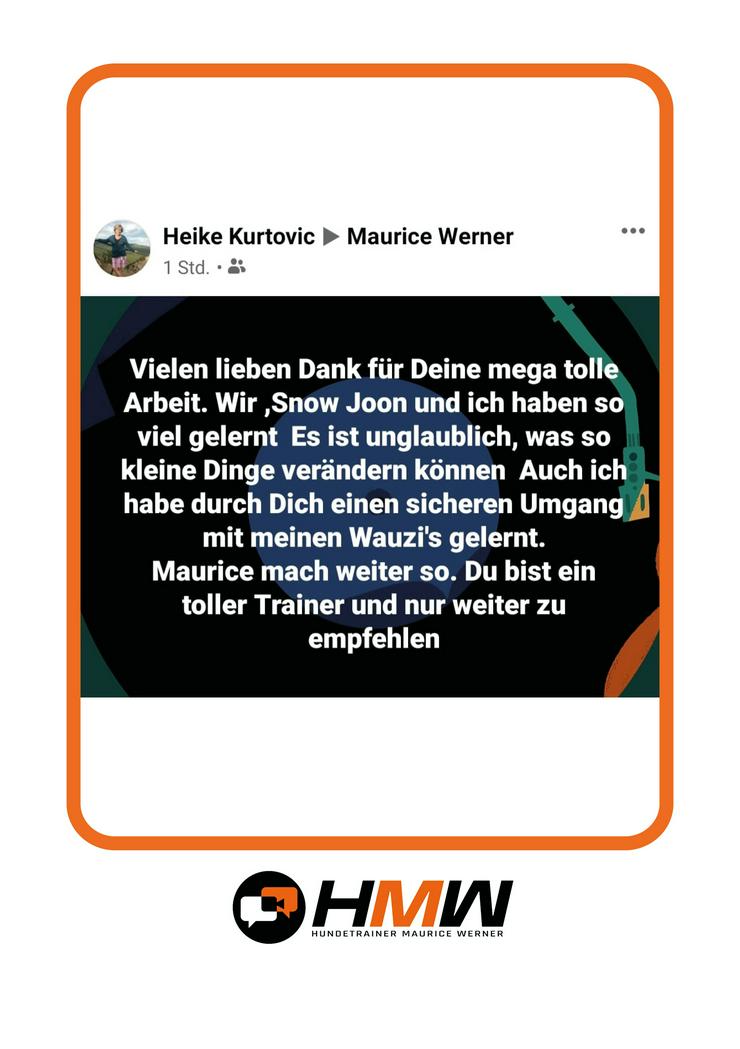 Bild 14: Innovatives Hundetraining durch Videoanalyse