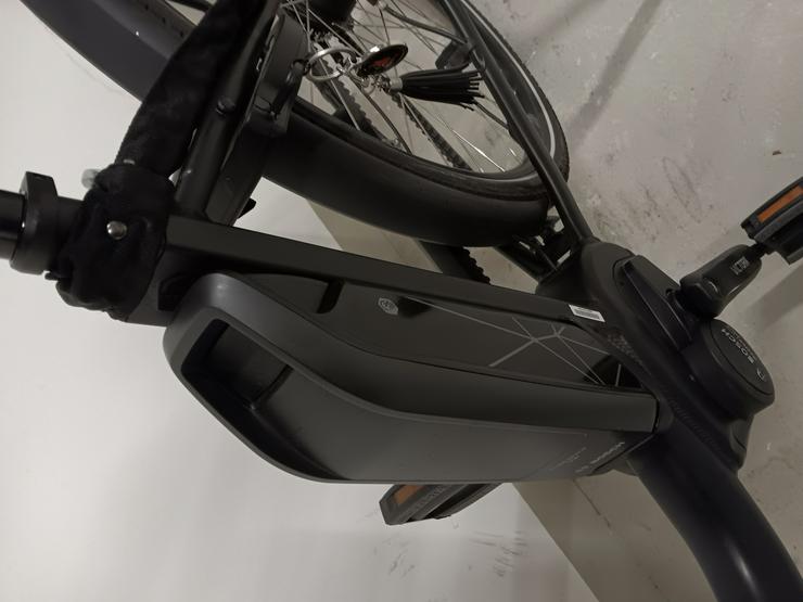 Bild 5: E-Bike Viktoria trekking Pedelec 