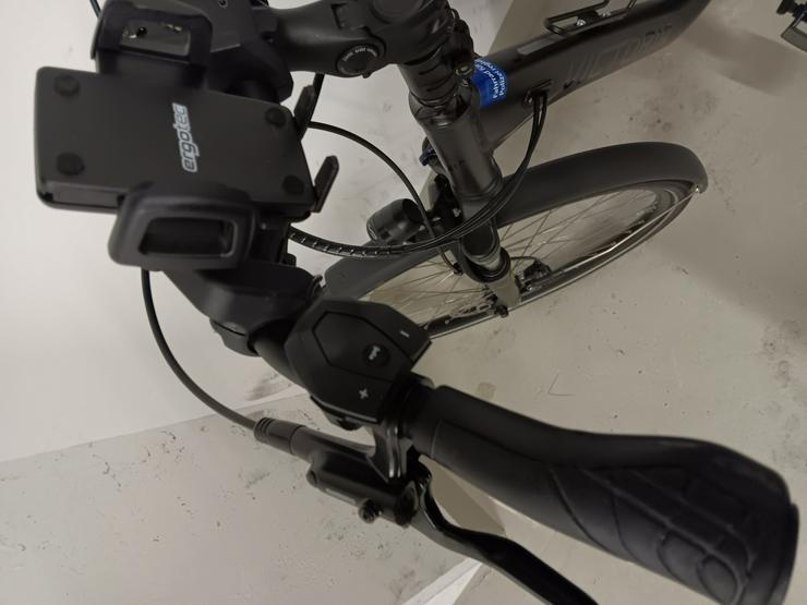 Bild 3: E-Bike Viktoria trekking Pedelec 