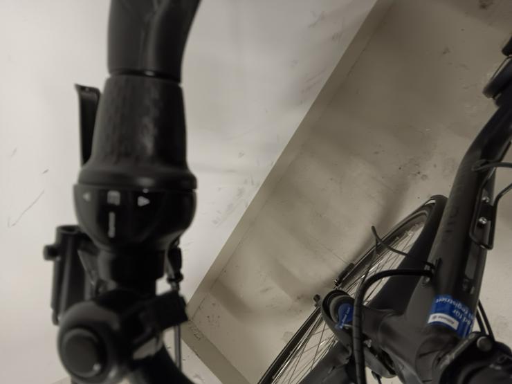 Bild 4: E-Bike Viktoria trekking Pedelec 