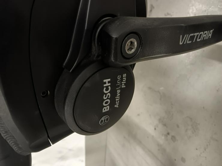Bild 6: E-Bike Viktoria trekking Pedelec 