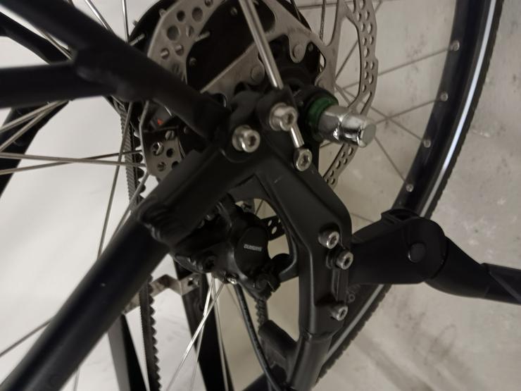 Bild 11: E-Bike Viktoria trekking Pedelec 