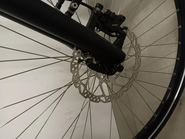 Bild 7: E-Bike Viktoria trekking Pedelec 