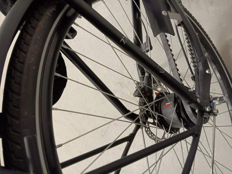 Bild 10: E-Bike Viktoria trekking Pedelec 
