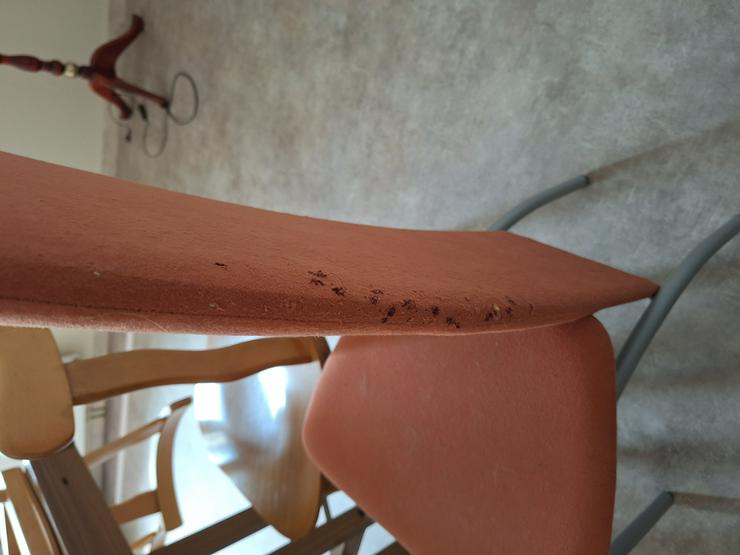 Bild 4: Stühle 4 Stück