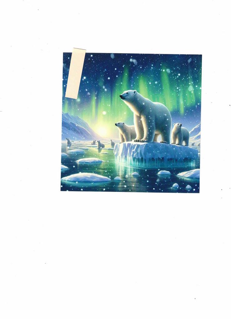 Hochglanzbild auf Fotopapier  "EISBÄR FAMILIE"