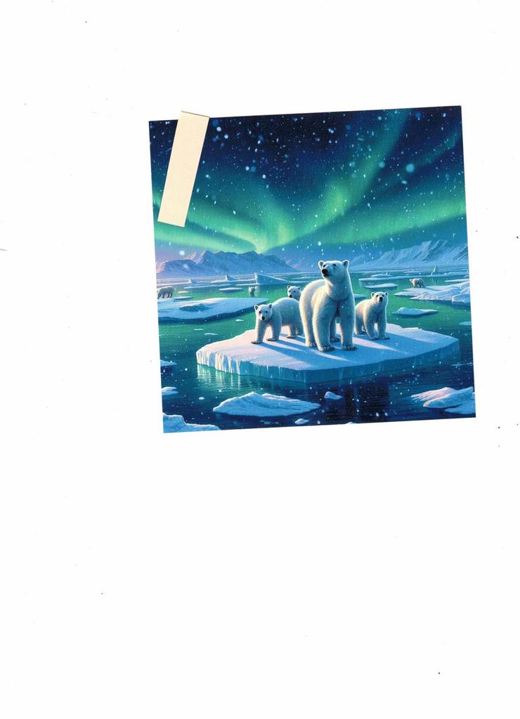 Hochglanzbild auf Fotopapier  "EISBÄR FAMILIE"