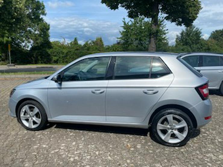Bild 2: Fabia Klima, SHZG, LM, ...