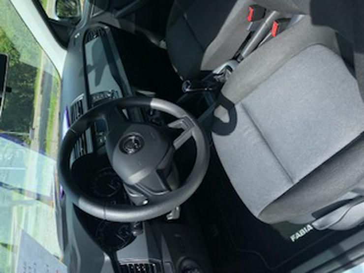 Bild 18: Fabia Klima, SHZG, LM, ...
