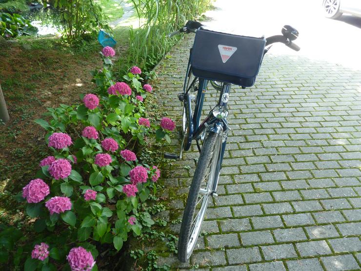 Bild 4: KETTLER Alu-Citybike
